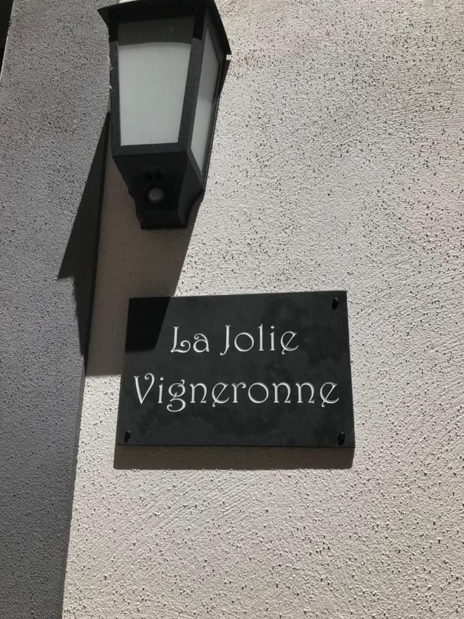 La Jolie Vigneronne Villa Marseillan  Dış mekan fotoğraf